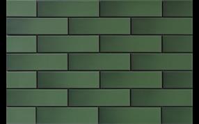 Зеленый гладкий